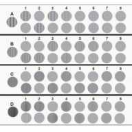 CSV Contrast chart test "1000 E"